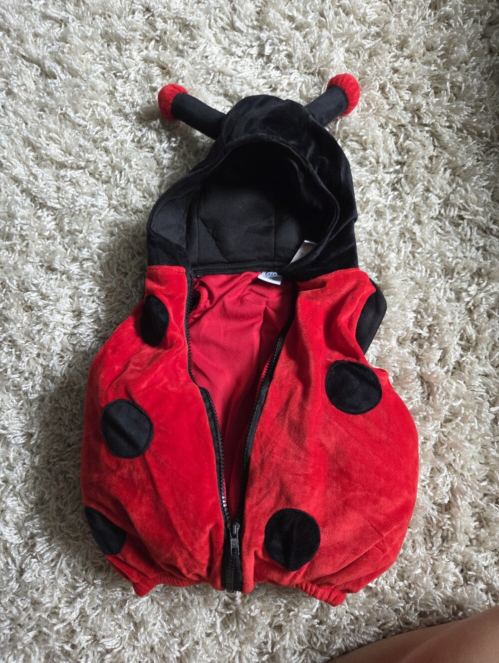 Lady Bug - Picture 2 of 3
